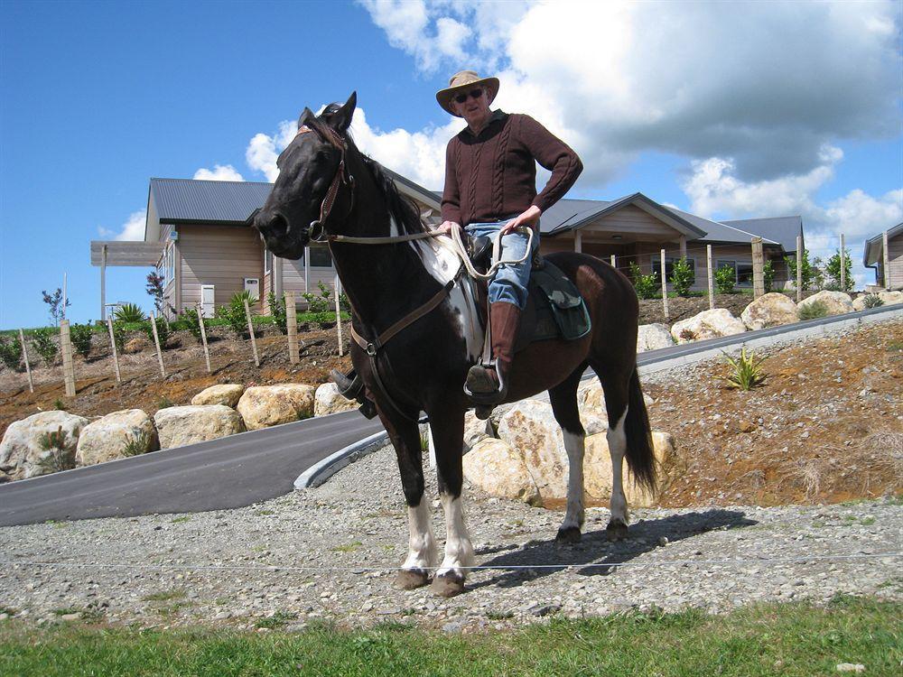 Kaimai Country Lodge Katikati Buitenkant foto